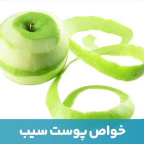 مقاله پوست سیب حاوی ترکیب کورستین است که از سلول‌های مغز در برابر آسیب محافظت می‌کند