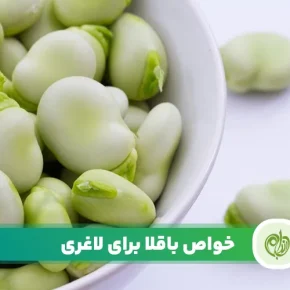 مقاله باقلا برای لاغری