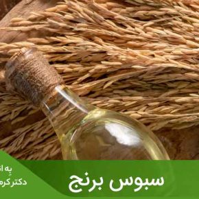 مقاله سبوس برنج به دلیل دارا بودن آنتی اکسیدان‌ها، ویتامین E، ویتامین‌های گروه B و اسیدهای چرب ضروری، فواید سلامتی بسیاری دارد.