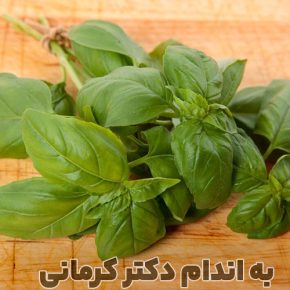 مقاله خواص ریحان