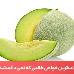 مقاله از جمله خواص لاغری می‌توان به قدرت سیرکنندگی بالای آن اشاره کرد.