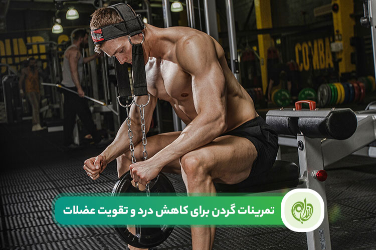 مقاله تمرینات گردن