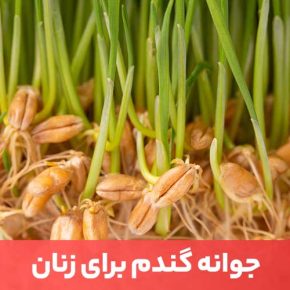 مقاله استفاده مداوم از جوانه گندم برای زنان، یک راه عالی برای کمک به حداکثر رساندن رشد مو و سلامت آن است.
