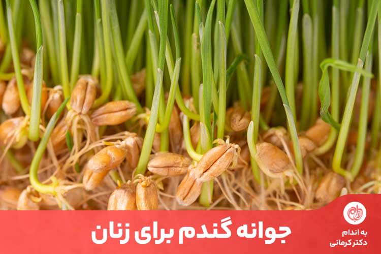 مقاله استفاده مداوم از جوانه گندم برای زنان، یک راه عالی برای کمک به حداکثر رساندن رشد مو و سلامت آن است.