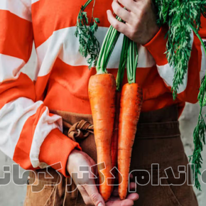 مقاله فیبر سبزیجات یا فیبر حبوبات؟ کاهش وزن با کدامیک؟