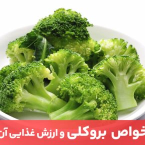 مقاله از مهمترین خواص بروکلی می‌توان به کاهش وزن، کاهش ابتلا به بیماری‌های قلبی و تقویت استخوان‌ها اشاره کرد.