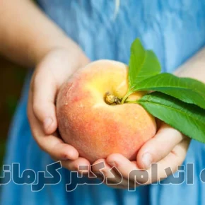 مقاله تاثیر هلو در کاهش وزن و لاغری