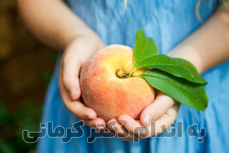 مقاله تاثیر هلو در کاهش وزن و لاغری