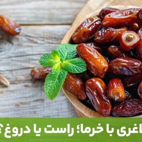 مقاله فواید خرما برای لاغری و بهبود بسیاری از بیماری‌ها مانند پوکی استخوان بسیار است.