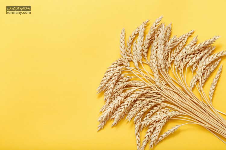 مقاله غلات کامل یکی از اصلی ترین اجزاء یک برنامه غذایی سالم هستند که فواید بسیار زیادی برای بدن دارند.