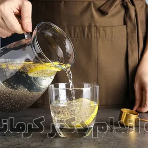 مقاله فرق دانه چیا و تخم شربتی : برای کاهش وزن کدامیک؟