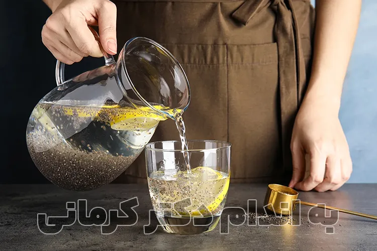 مقاله فرق دانه چیا و تخم شربتی : برای کاهش وزن کدامیک؟