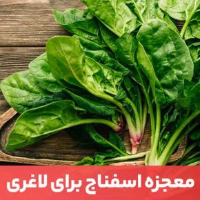 مقاله اسفناج برای لاغری بسیار مفید است و به همین دلیل یکی از محبوب‌ترین سبزیجات برگ‌دار است.