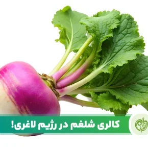 مقاله کالری شلغم جزو کالری های بسیار پایین در مواد غذایی است.