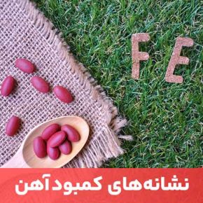 مقاله بسیاری از افراد مبتلا به کم خونیِ ناشی از فقر آهن علائم بسیار کمی ‌دارند.