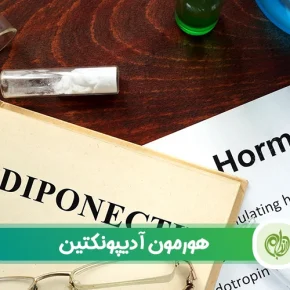 مقاله نقش هورمون آدیپونکتین در تنظیم متابولیسم چربی و قند